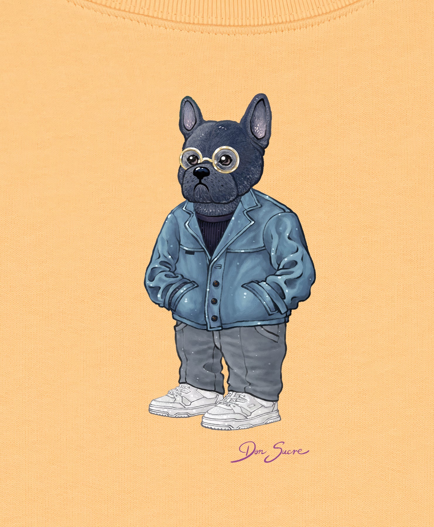 French Bulldog Jumper Nispero